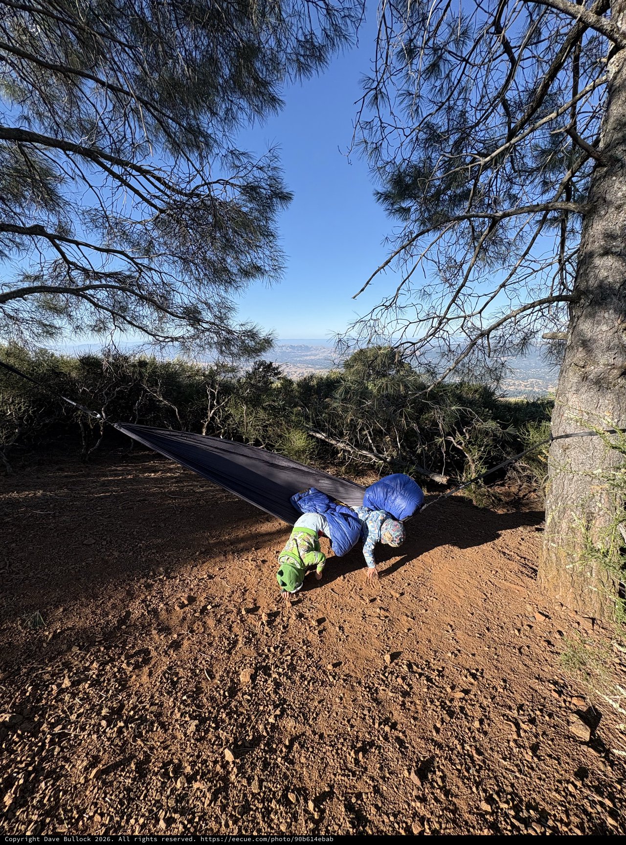 Child Tumbling Out of Hammock on Mountain Summit