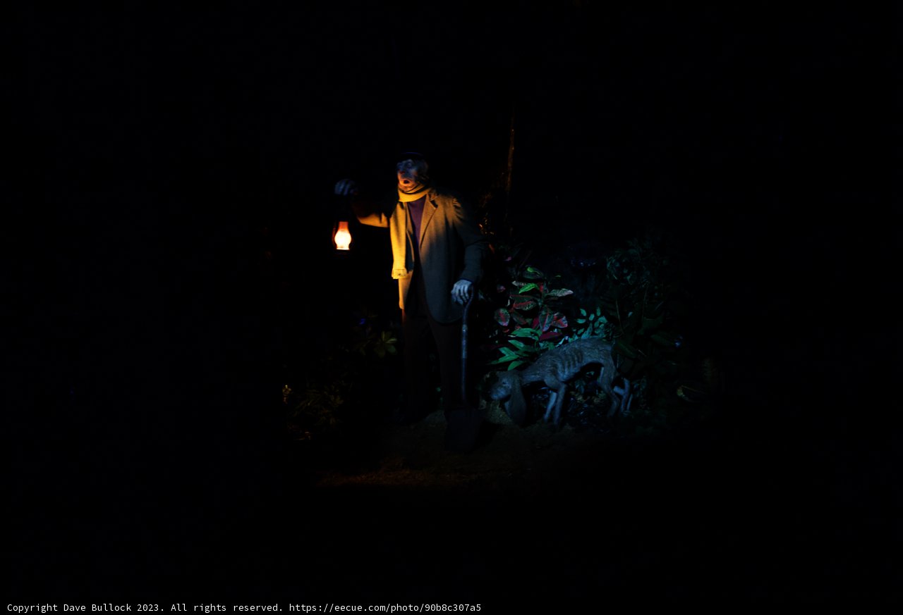 The Mysterious Lantern Bearer