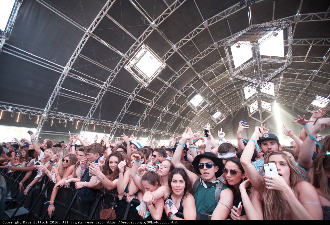 Sunglasses and Phones Galore at Coachella Music Festival