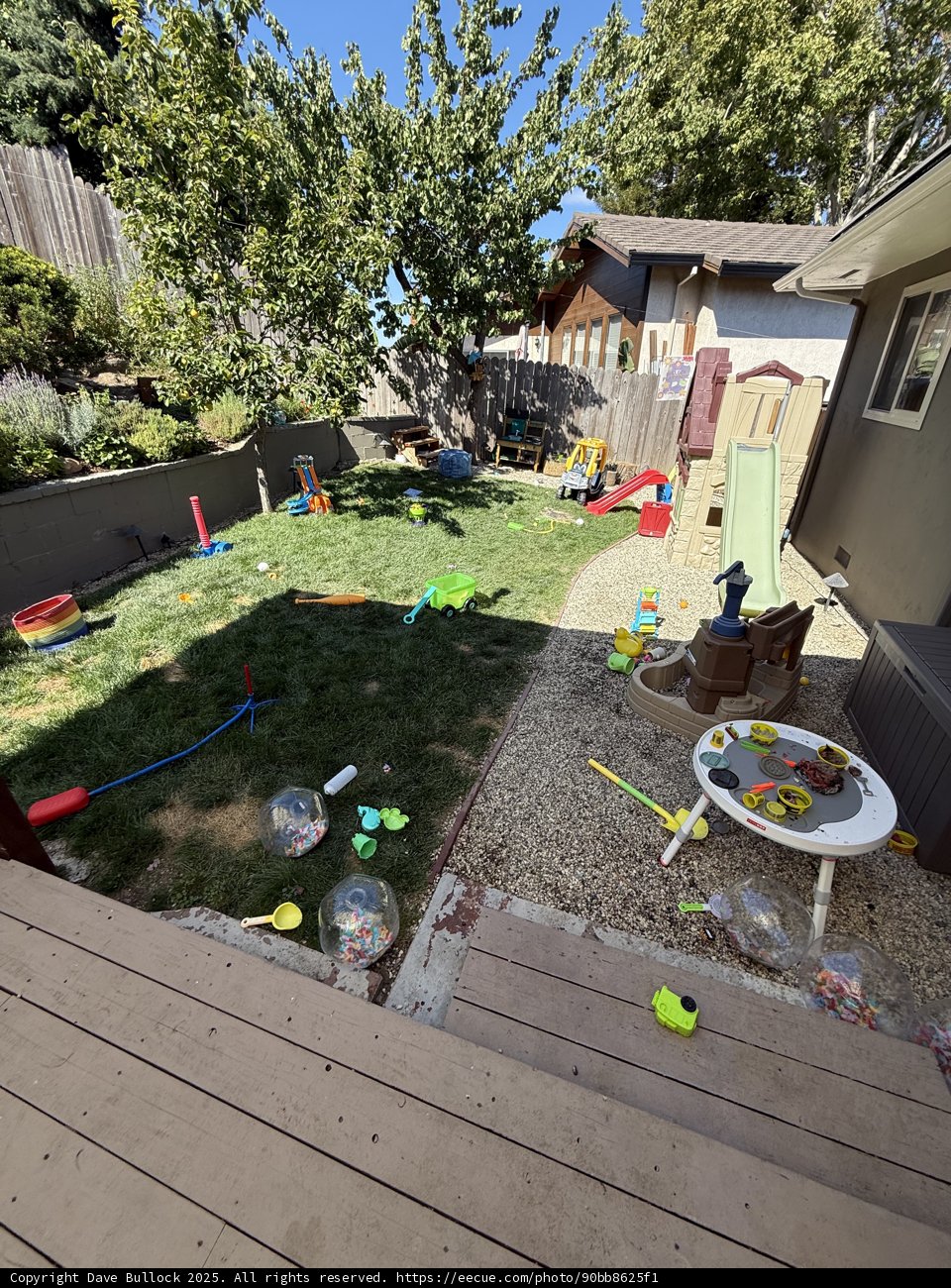Backyard Adventure