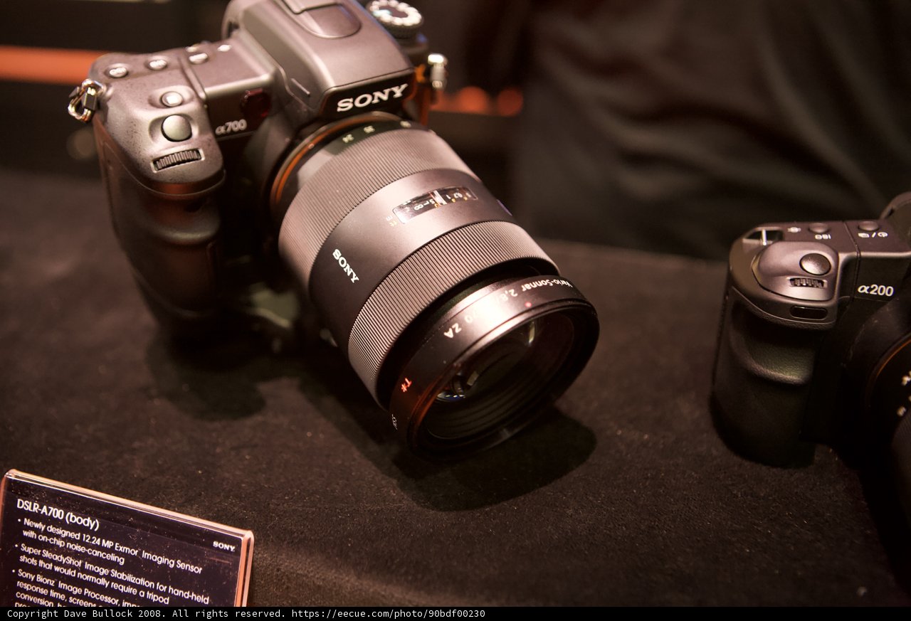 Double the Fun with Sony A7R II and A7R III