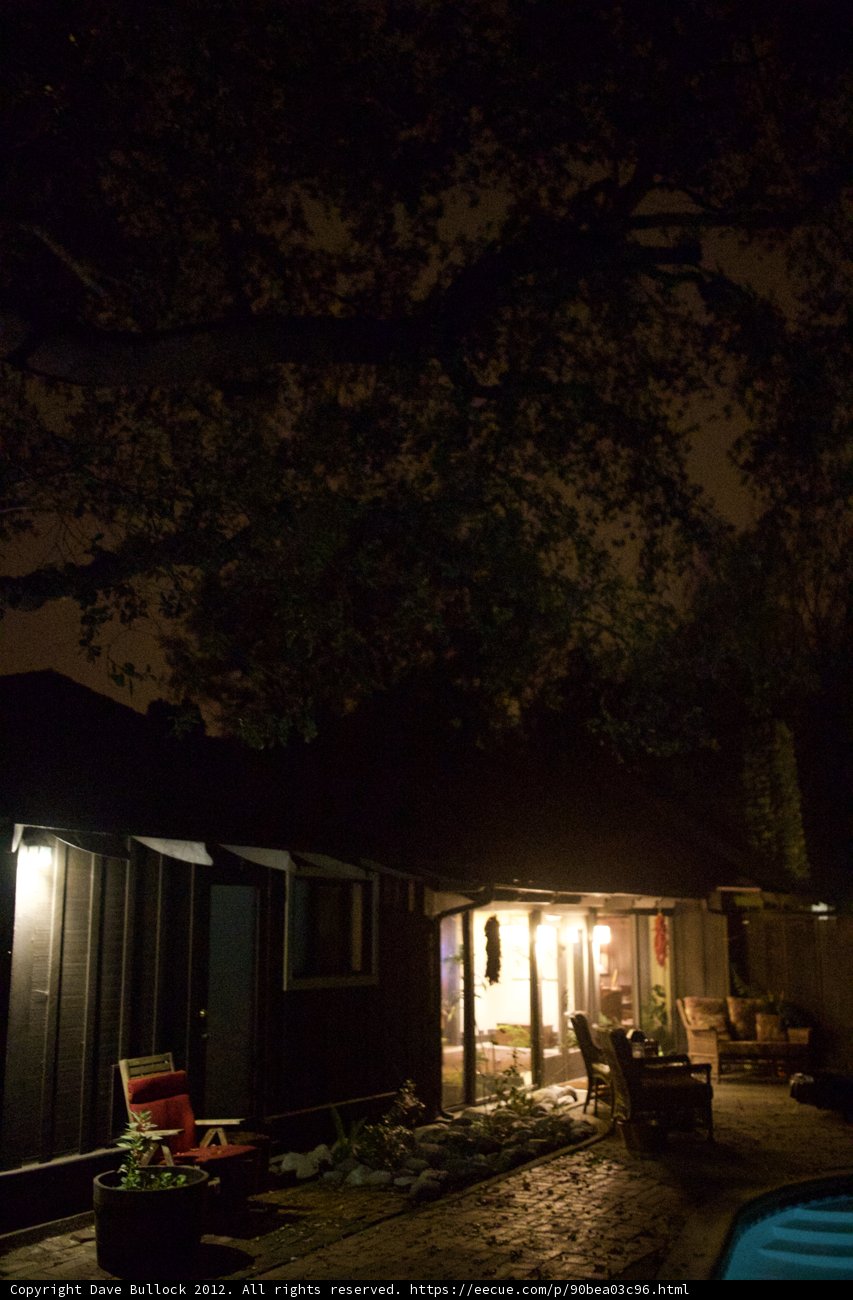 Nighttime Oasis