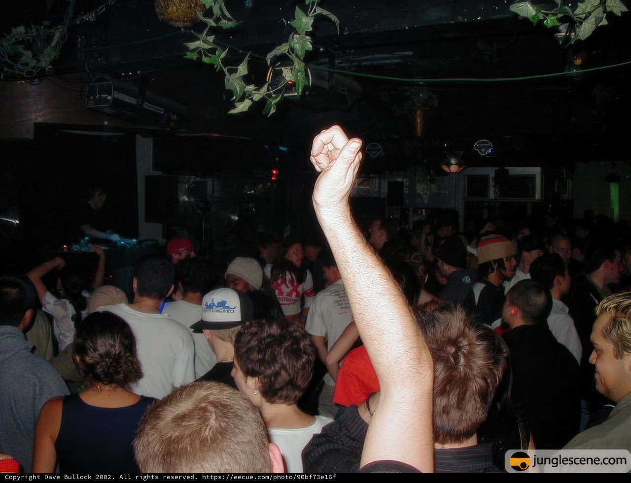 Nightclub Fun
