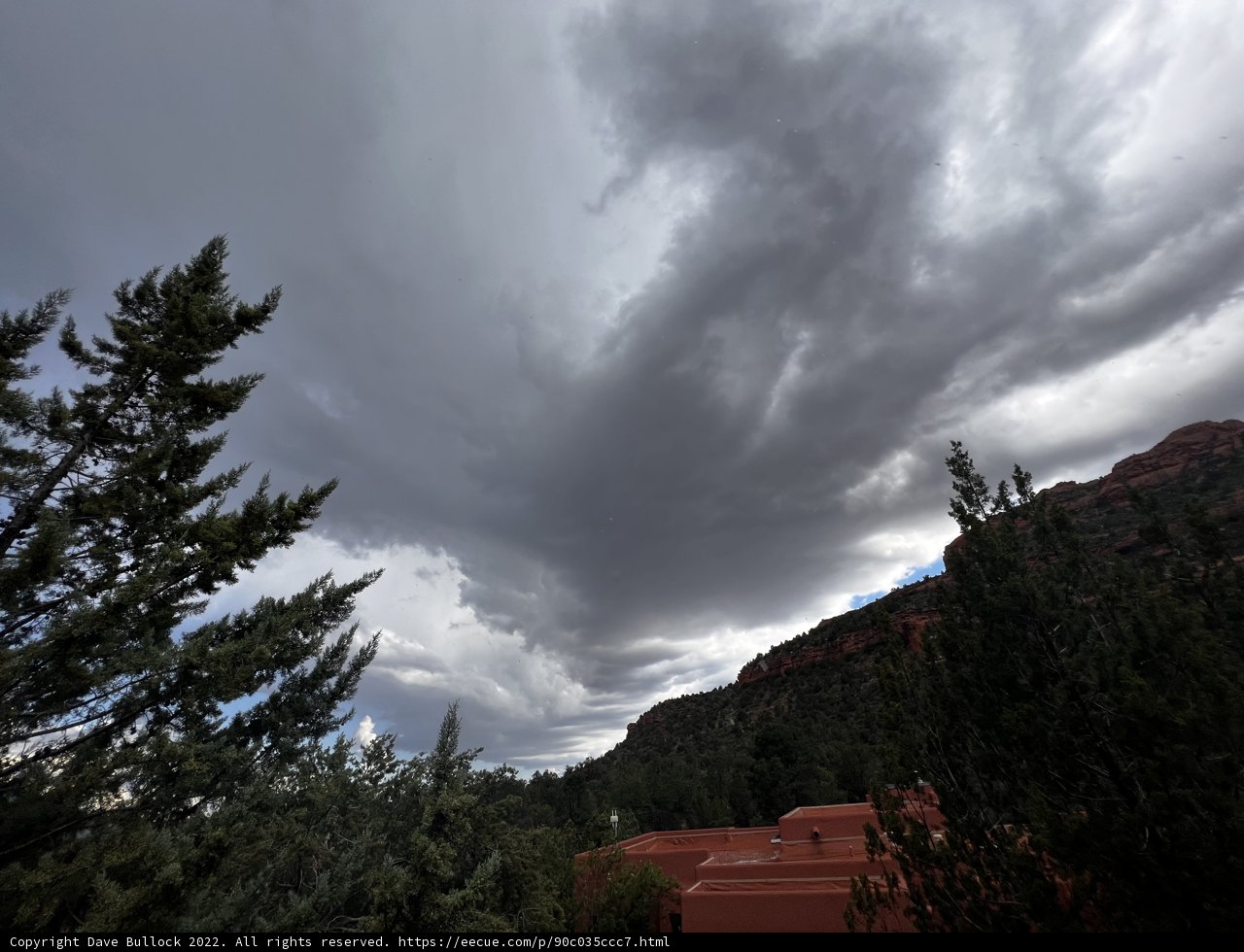 Majestic Conifers against the Stormy Sedona Sky