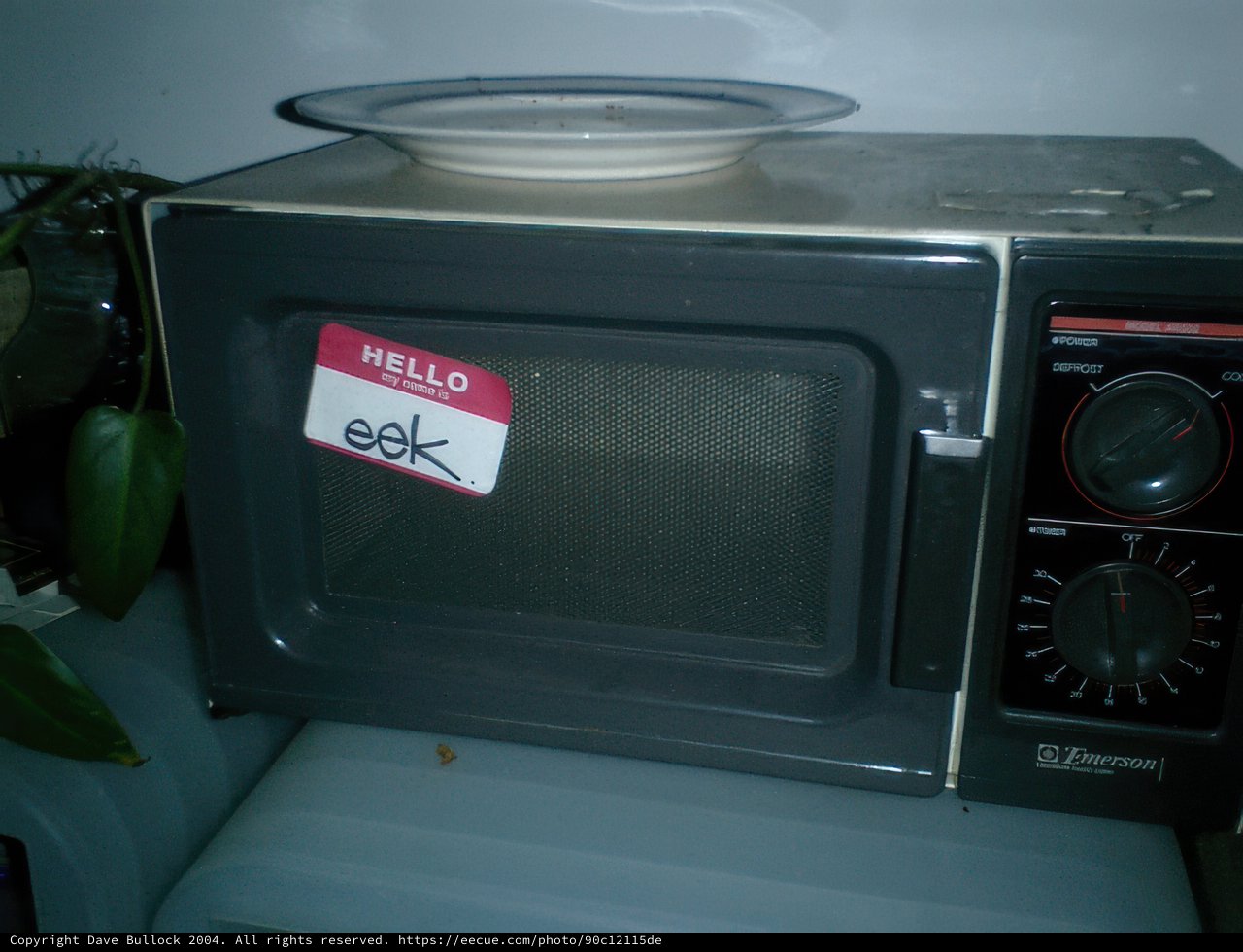Microwave for Your Holiday Leftovers