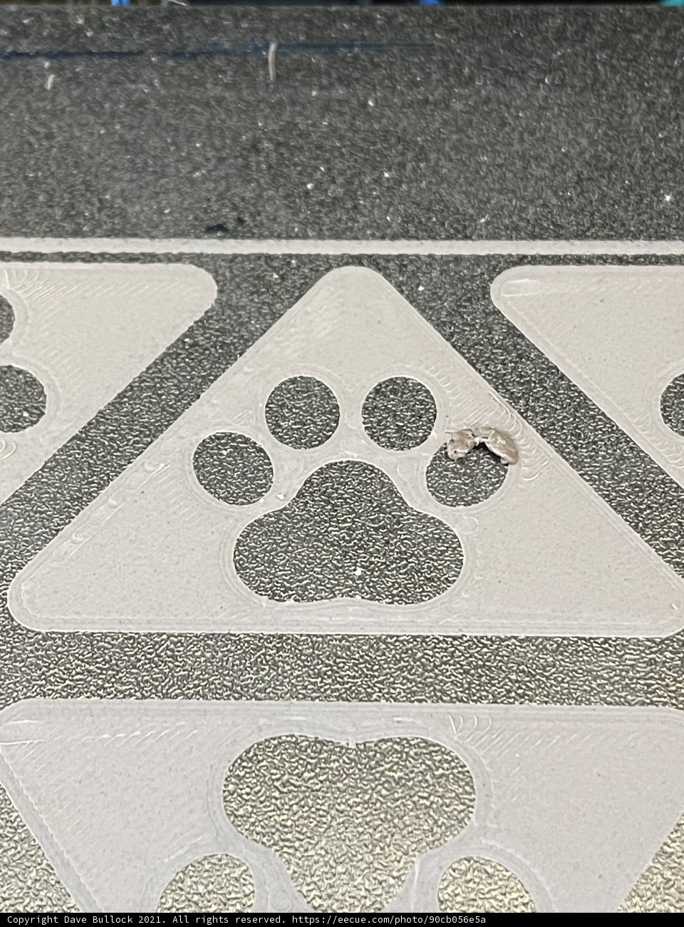 Canine Trailblazer