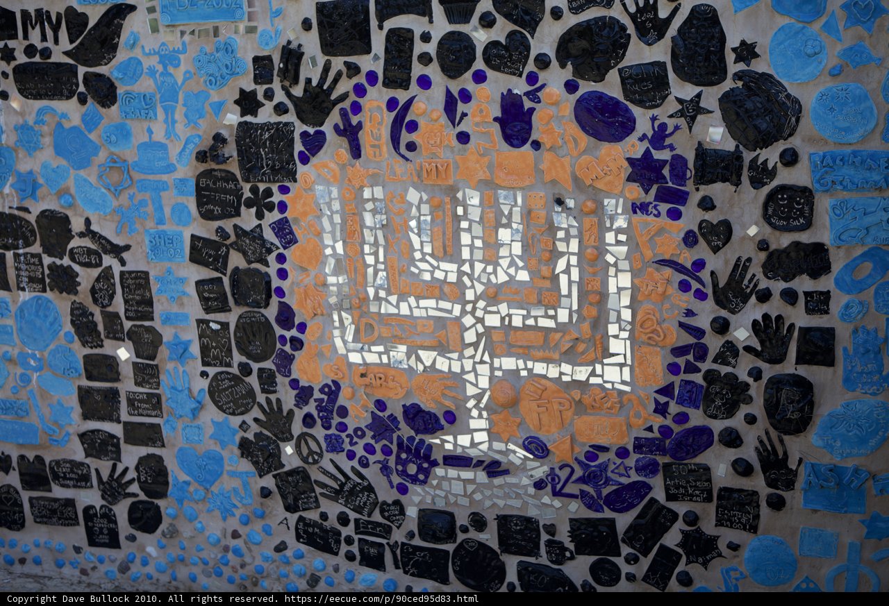 The Many Designs of the Menorah