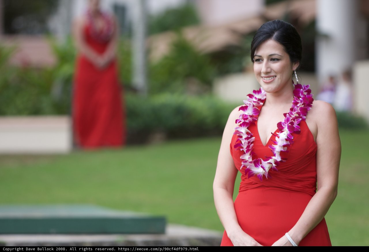 Beautiful Hawaii Memories
