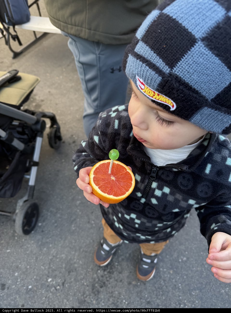 Curious Citrus Encounter