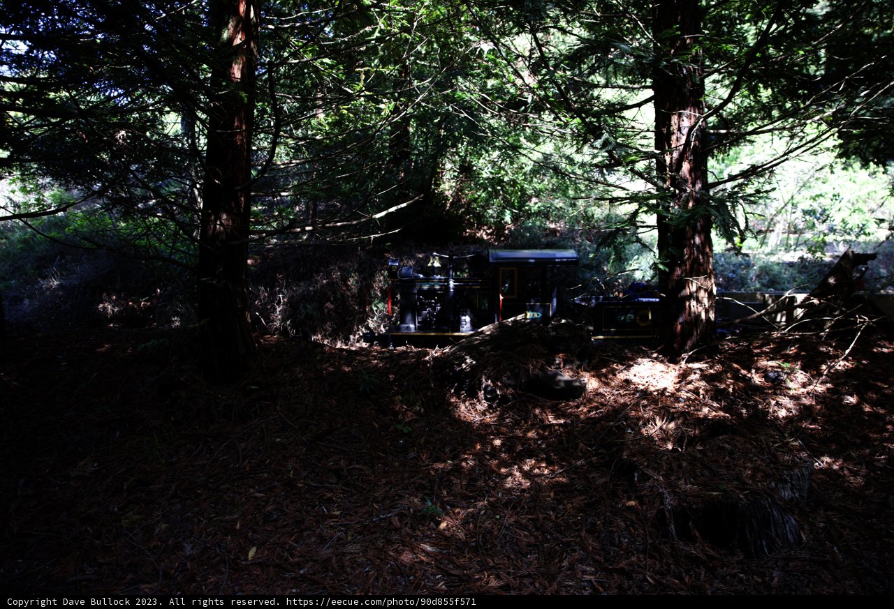 Enchanted Woods Getaway