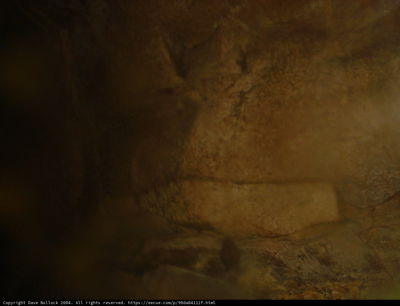Bear taking a break in the cave