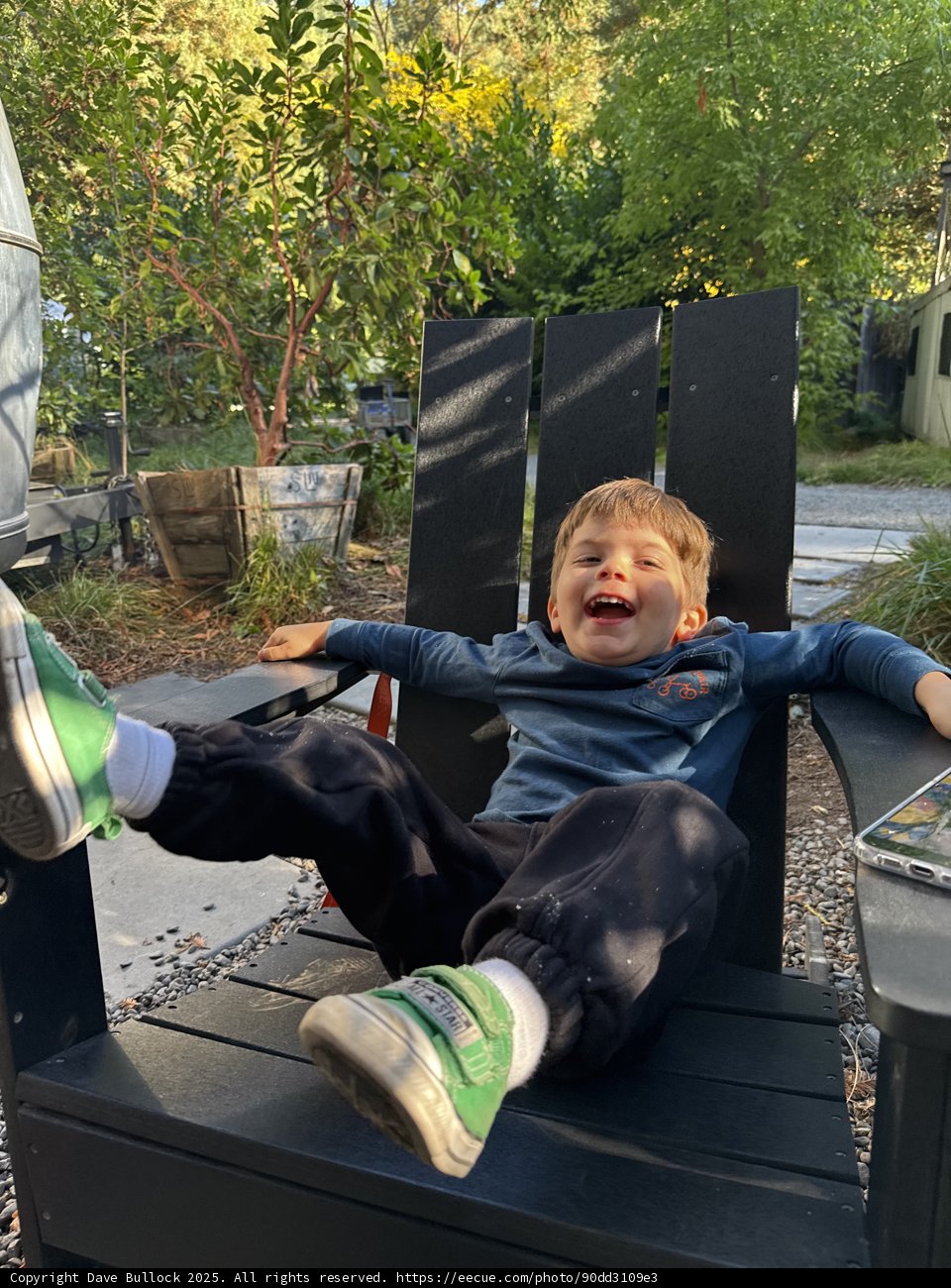 Joyful Morning in the Backyard