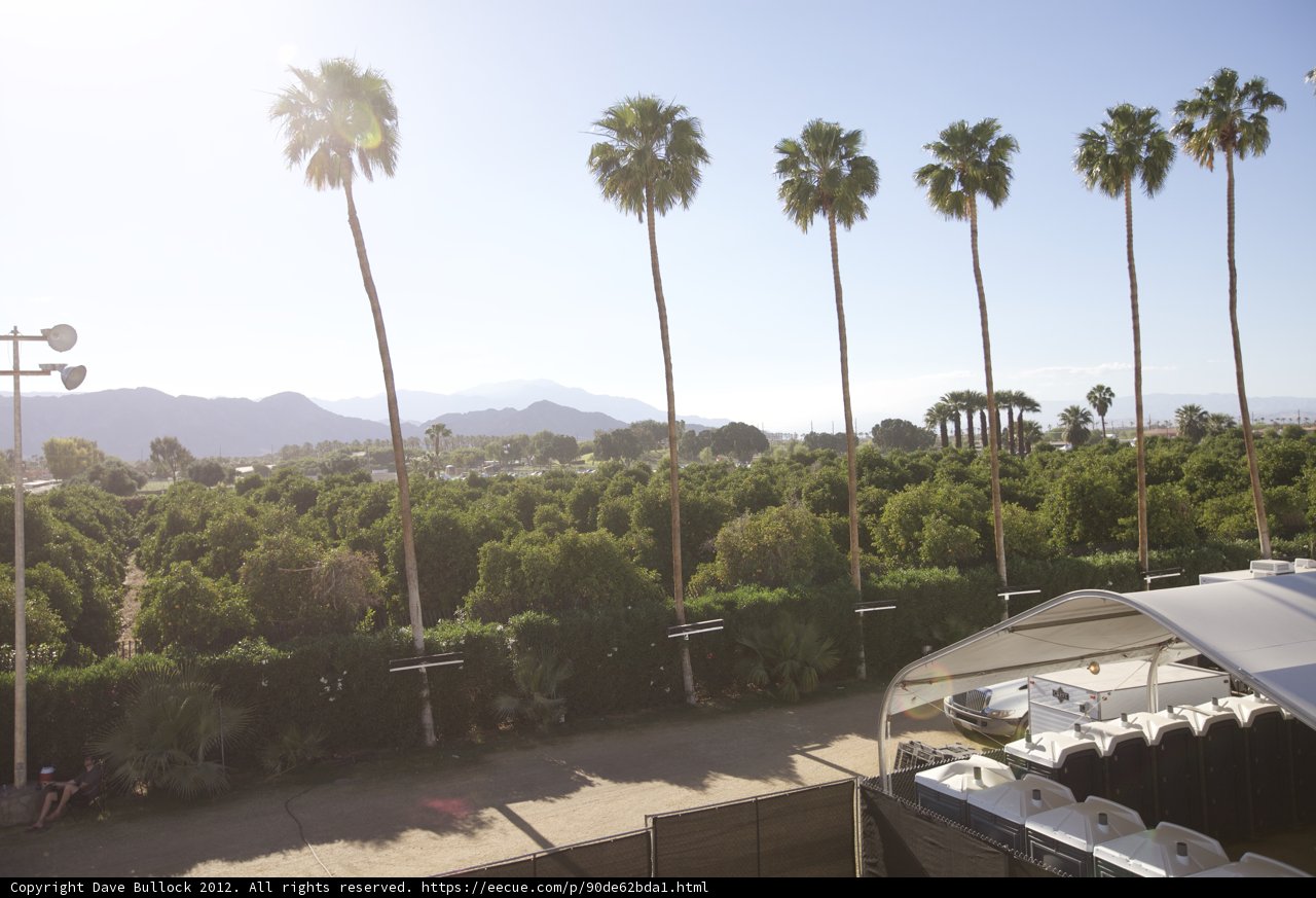 Palm Trees and a Bus at Coachella