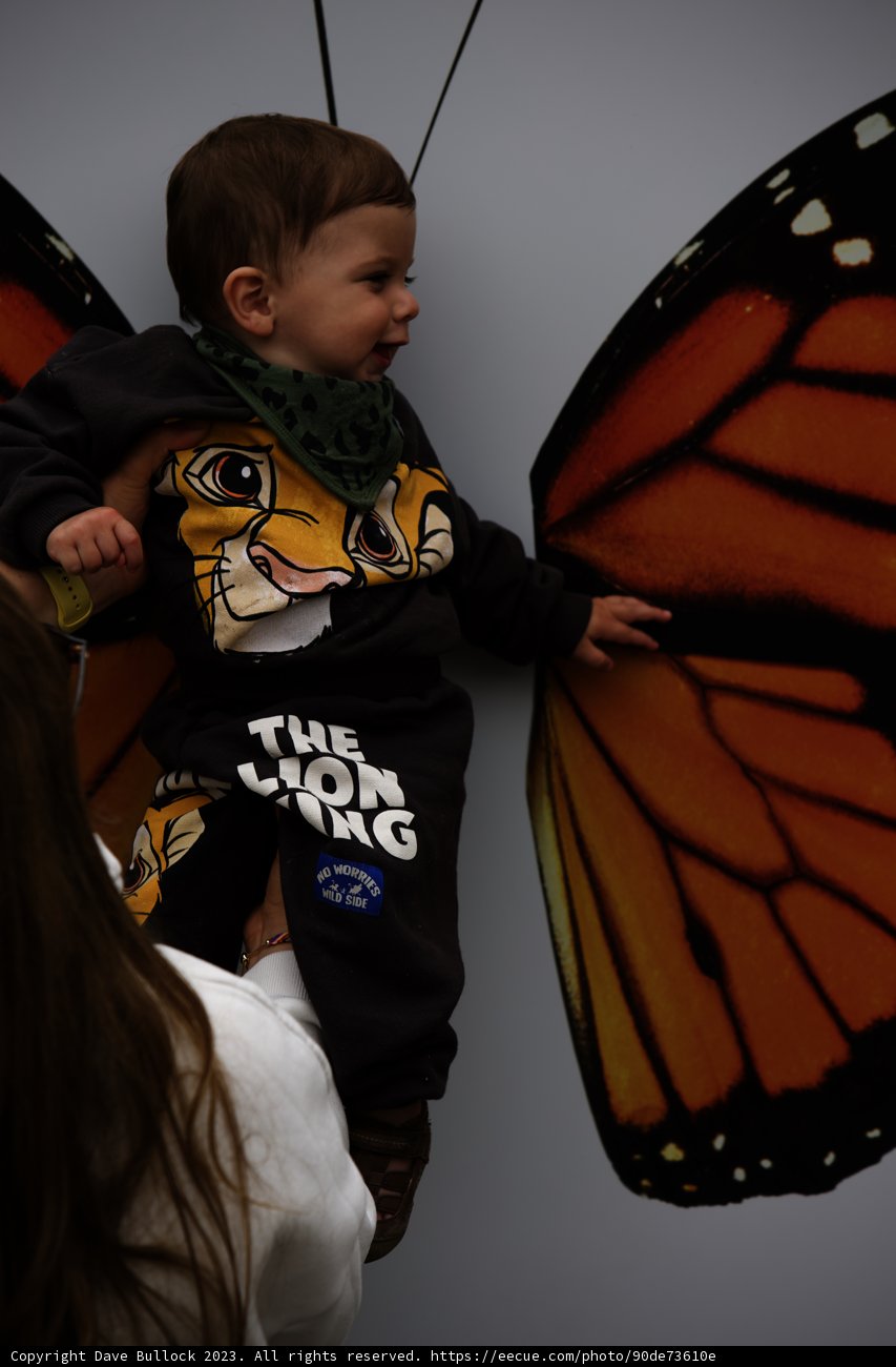 A Magical Encounter at SF Zoo
