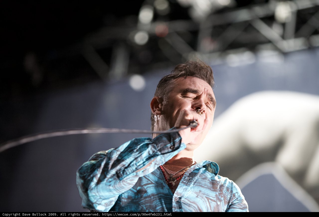 Blue Shirt Solo Act