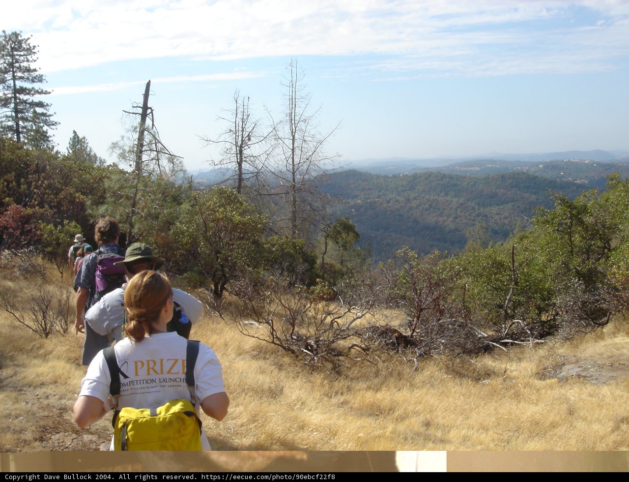 Hiking Adventure in the Wilderness