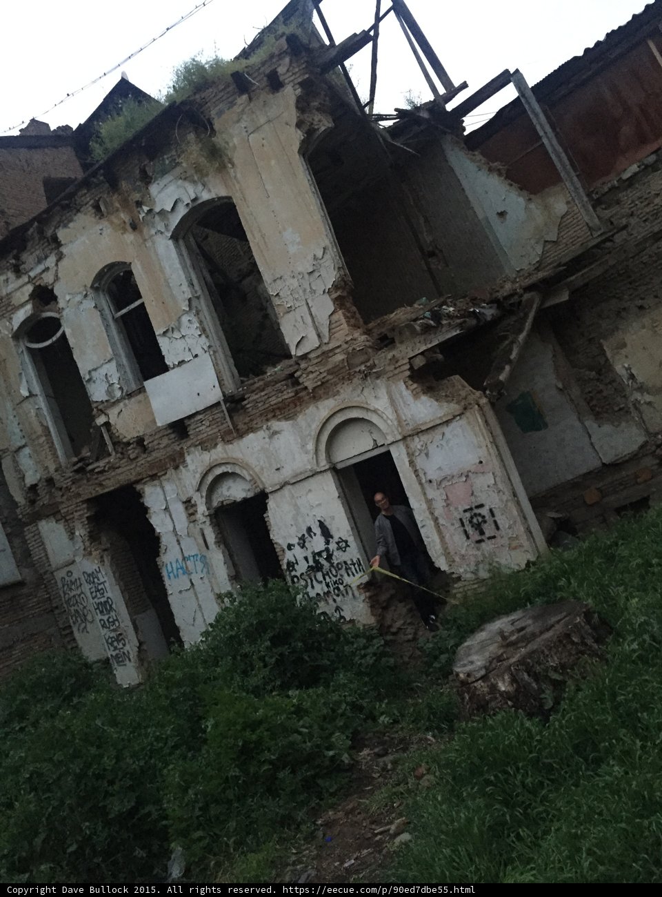 Emerging from the Ruins