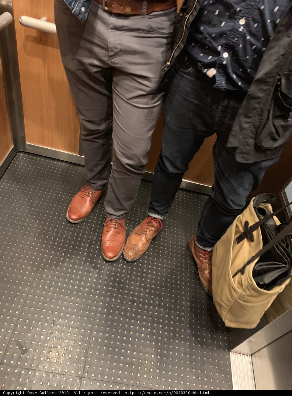 Elevator Fashionistas