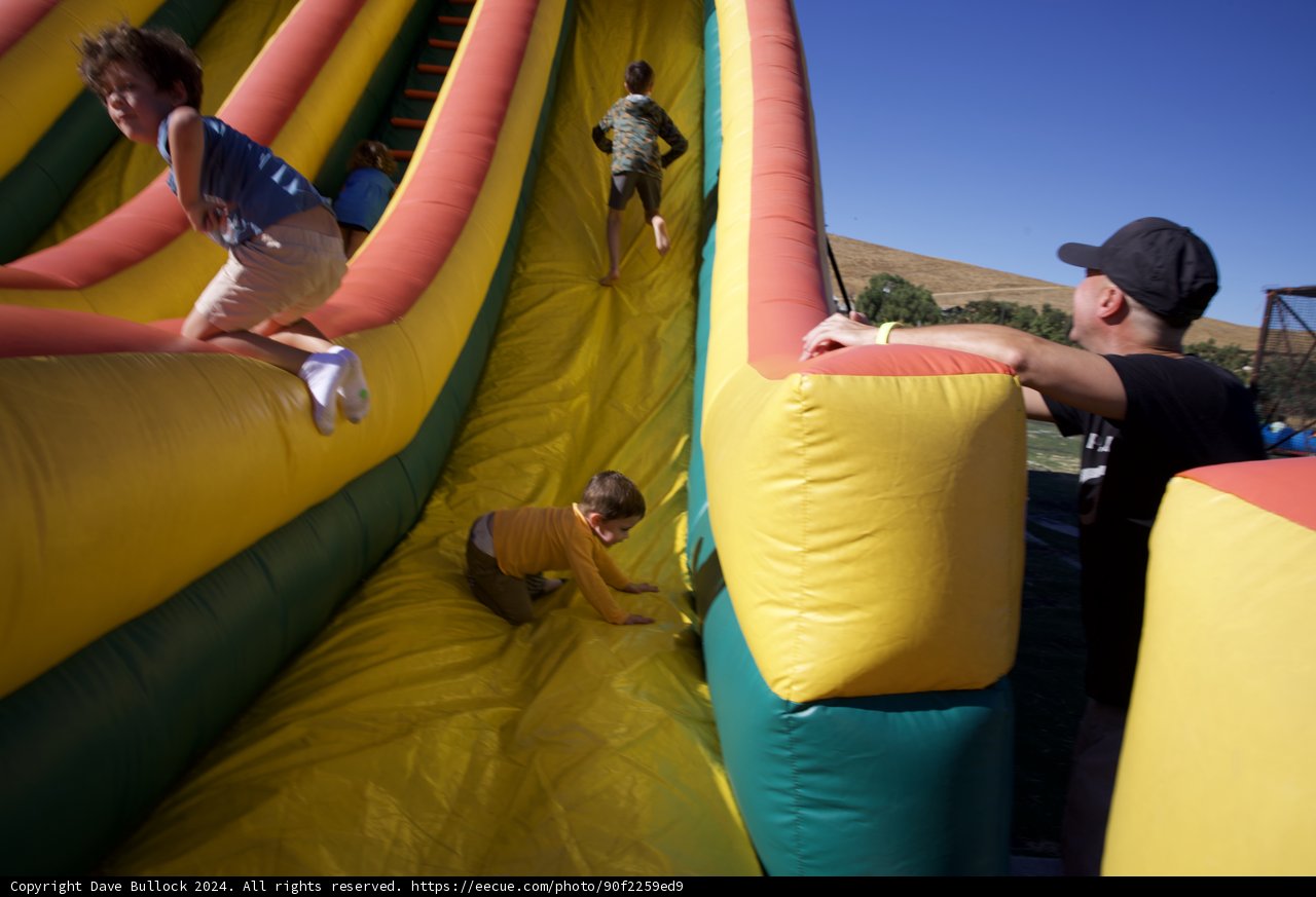 Sliding into Joy: A Day at Walnut Creek Park