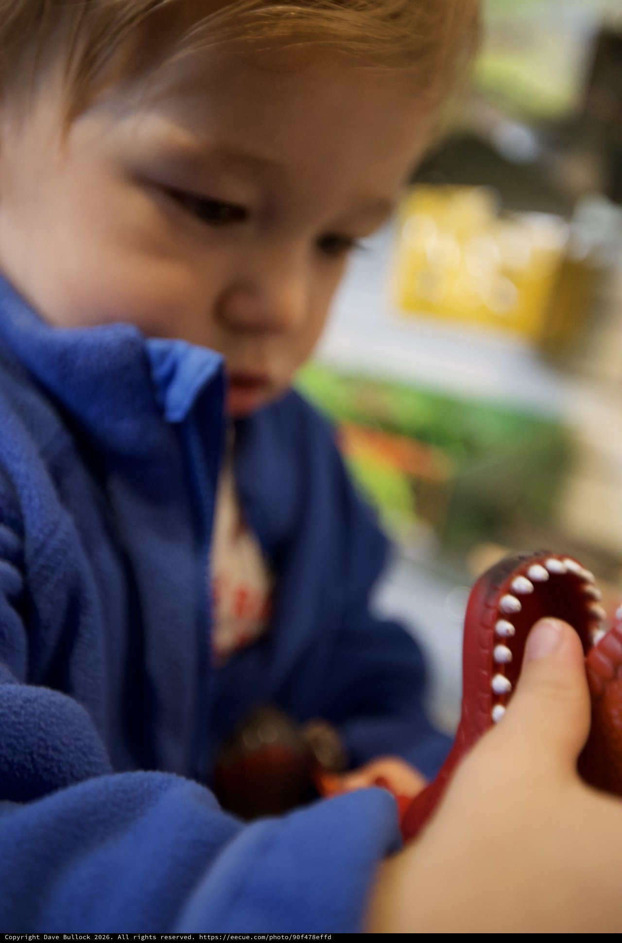 Child Learning Dental Health with Tooth Model