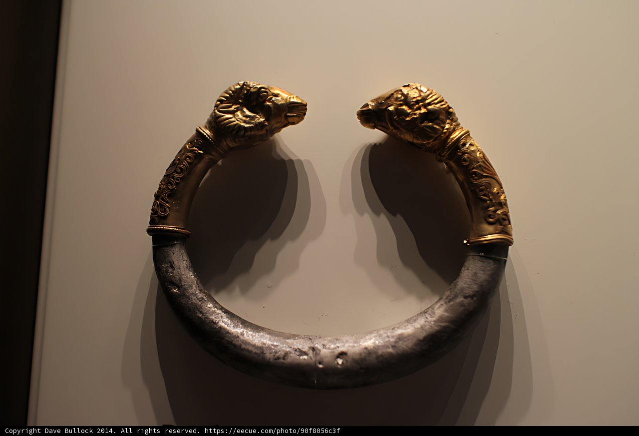 Stunning Bronze Lizard Rings on Display