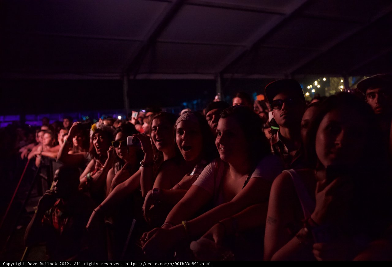 Cell Phone in a Concert Crowd