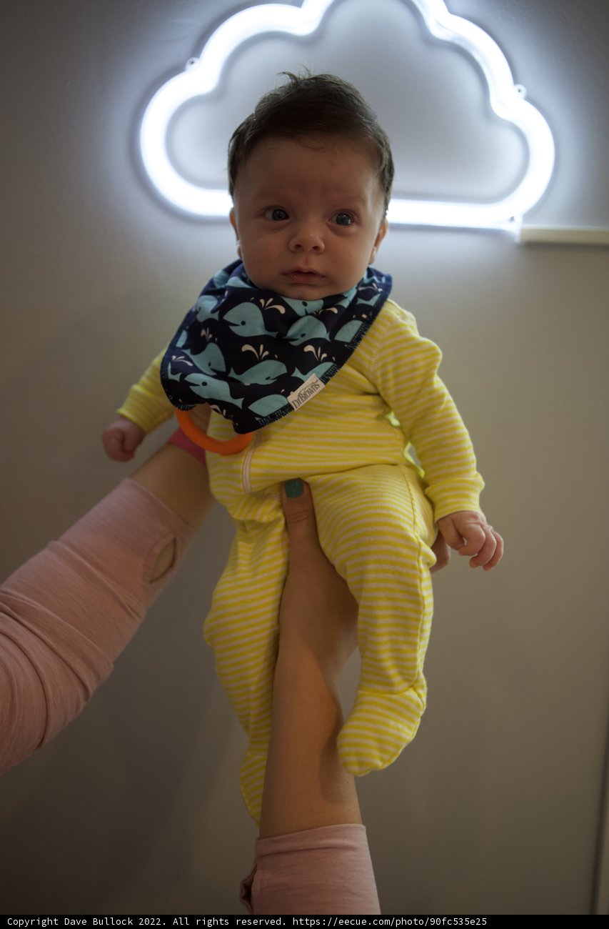 Neon Dreams with Baby Wesley