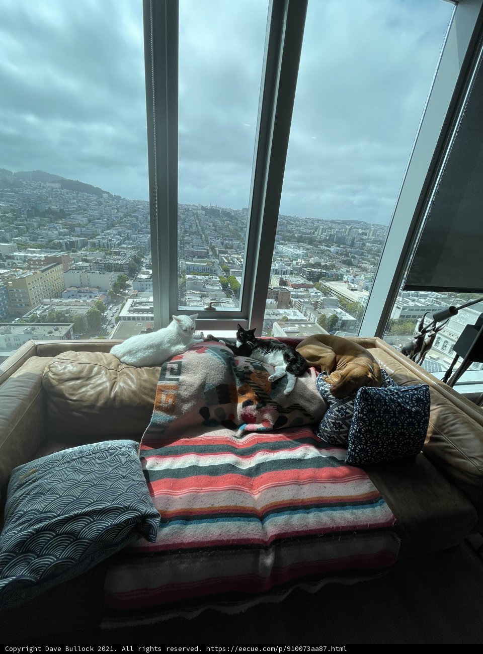 City View Comfort
