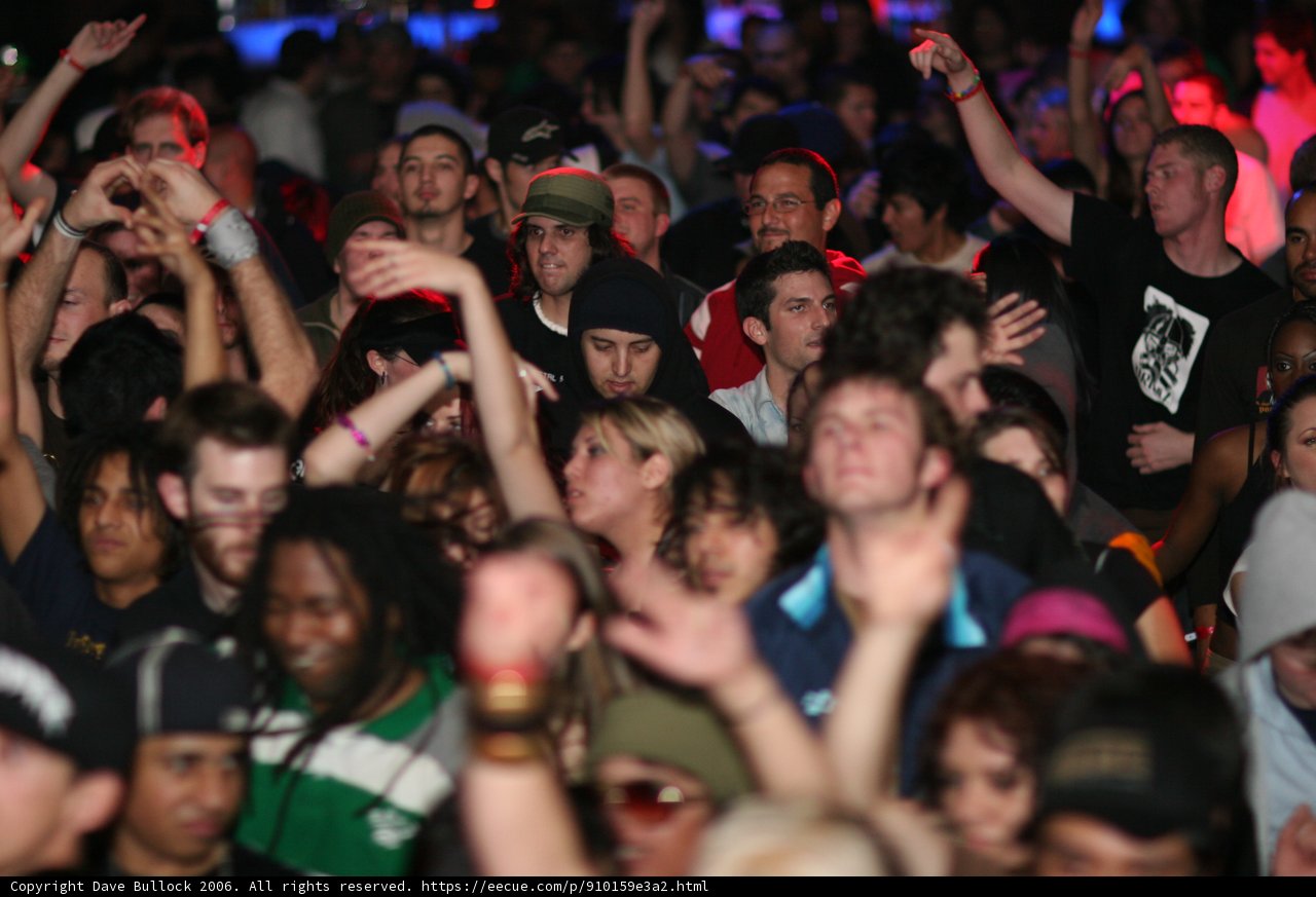 Urban Nights: A Concert Crowd with Hands Up