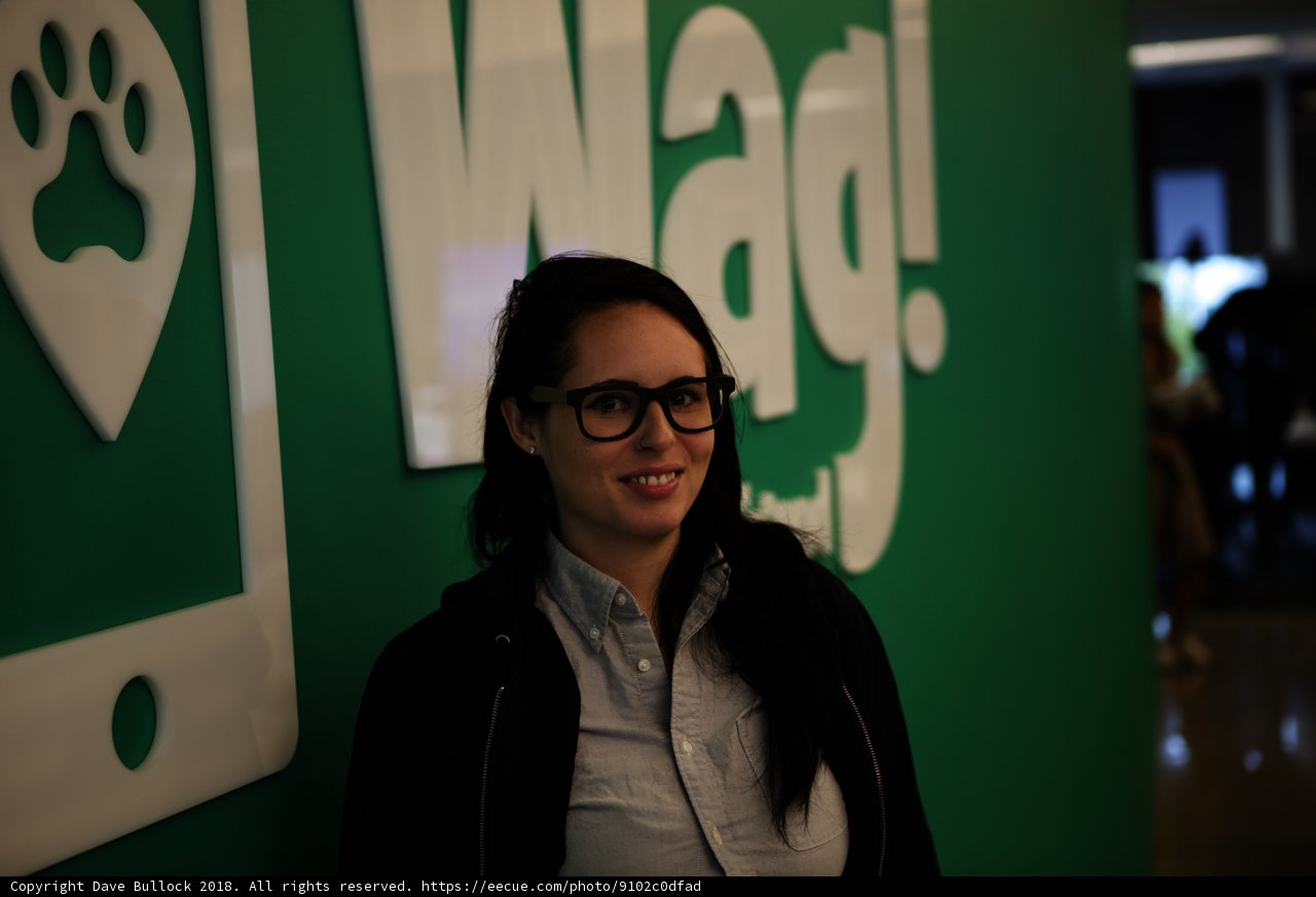 The Woman Behind the WAG Logo