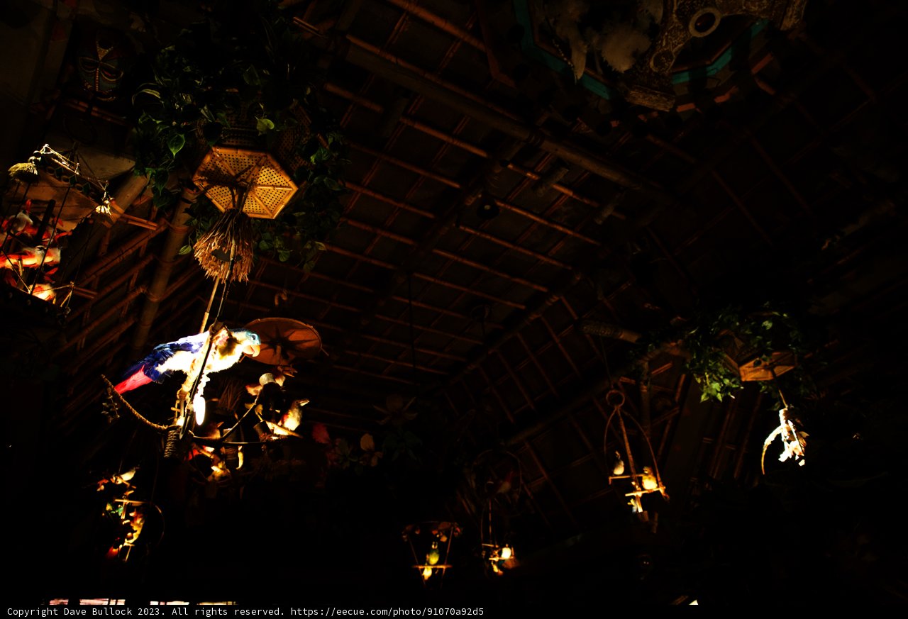 Enchanting Lights and Greenery at Disneyland