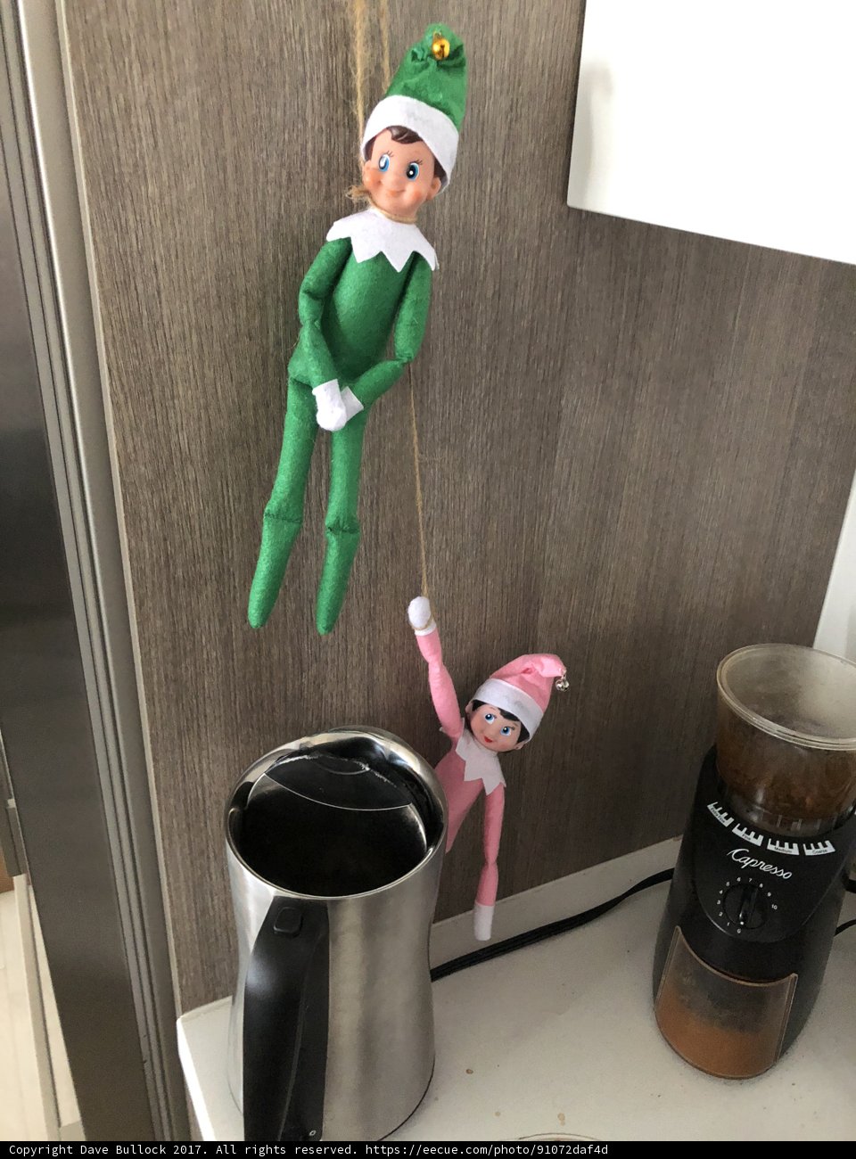 Elf Dolls Hang by the Counter