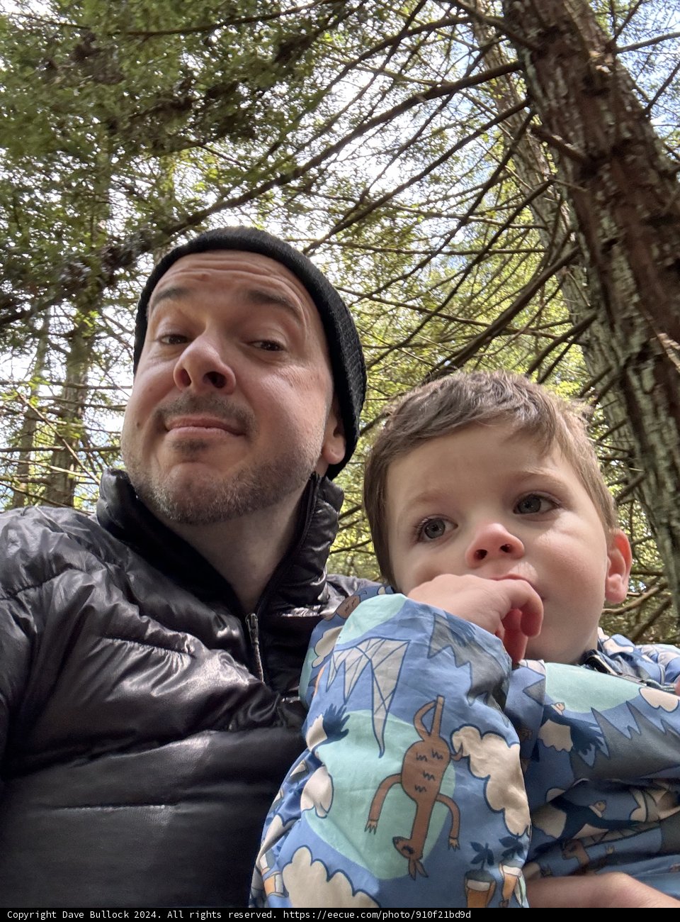 Woodland Adventures