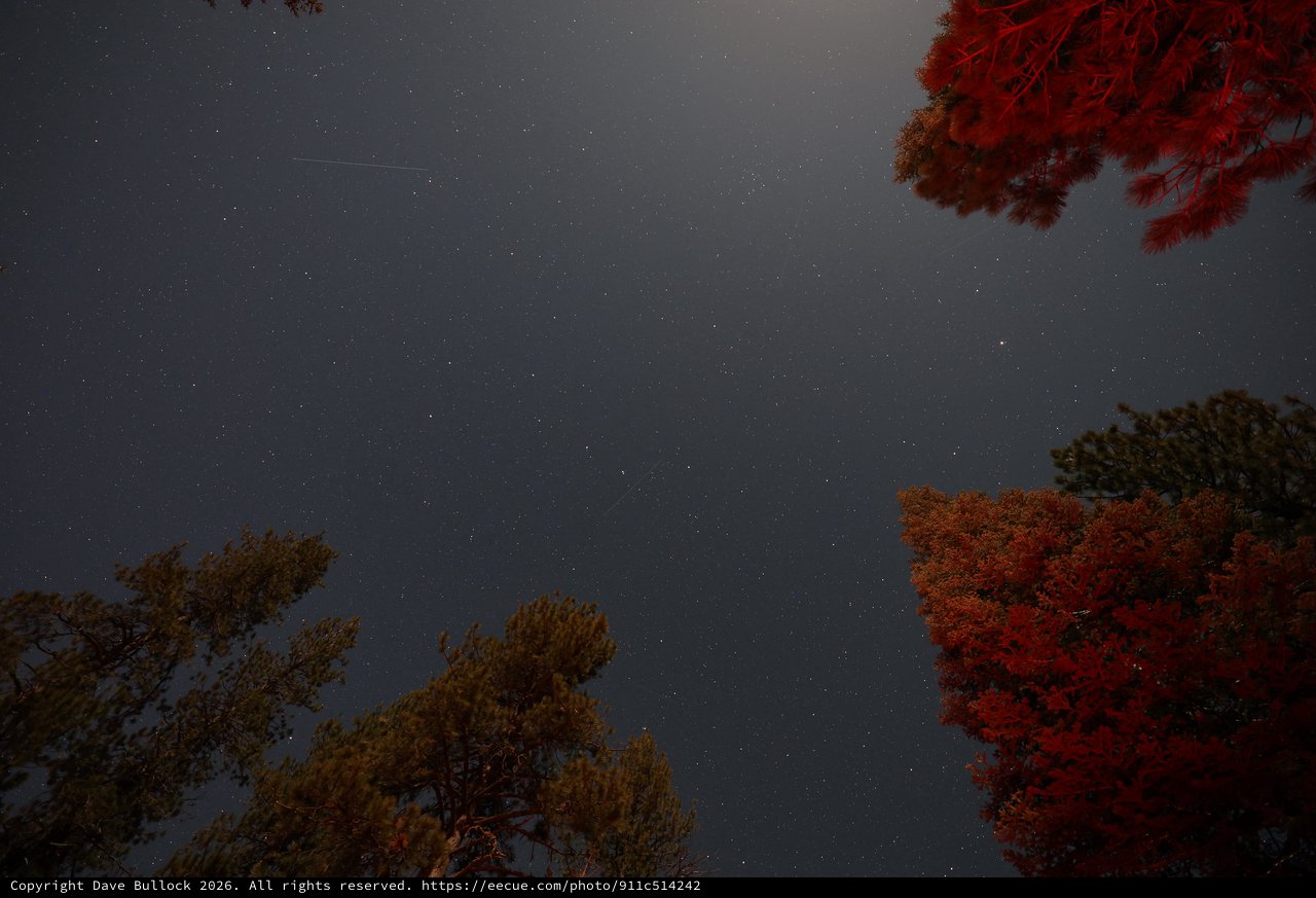 Starry Night Sky Over Lassen's Autumn Canopy