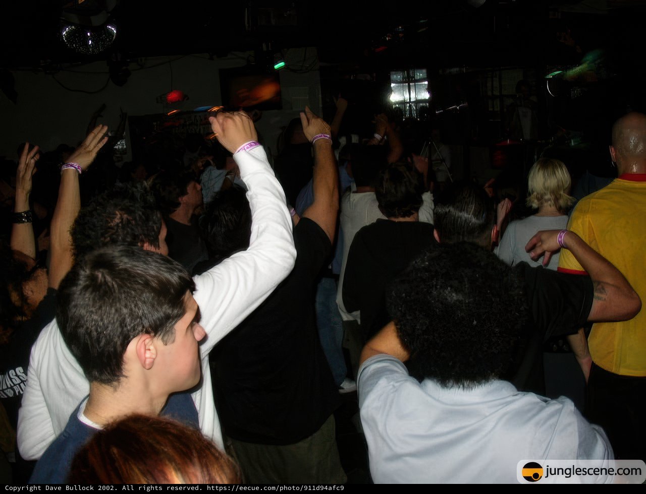 Nightclub Party Madness