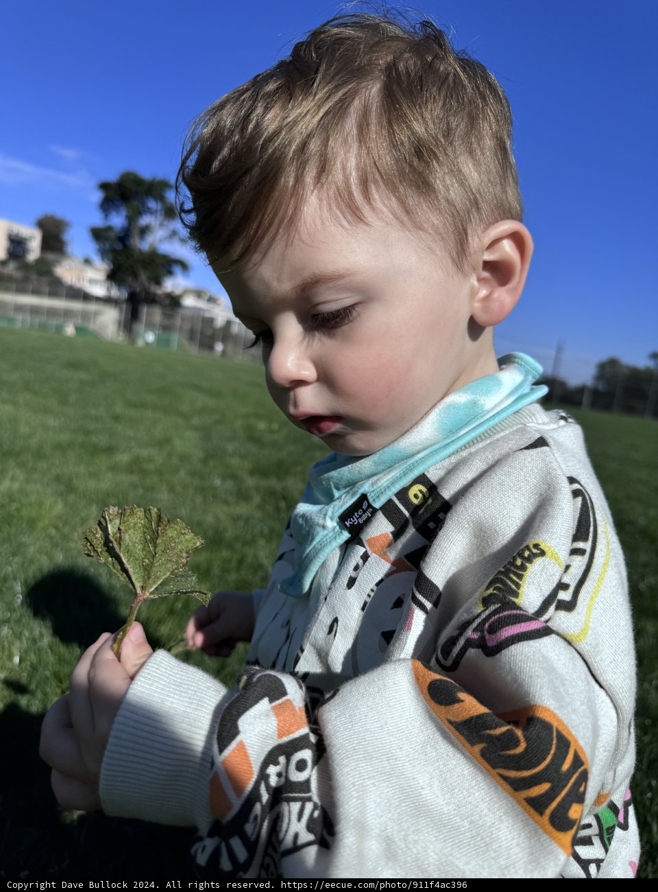 Wesley's Discovery in Nature