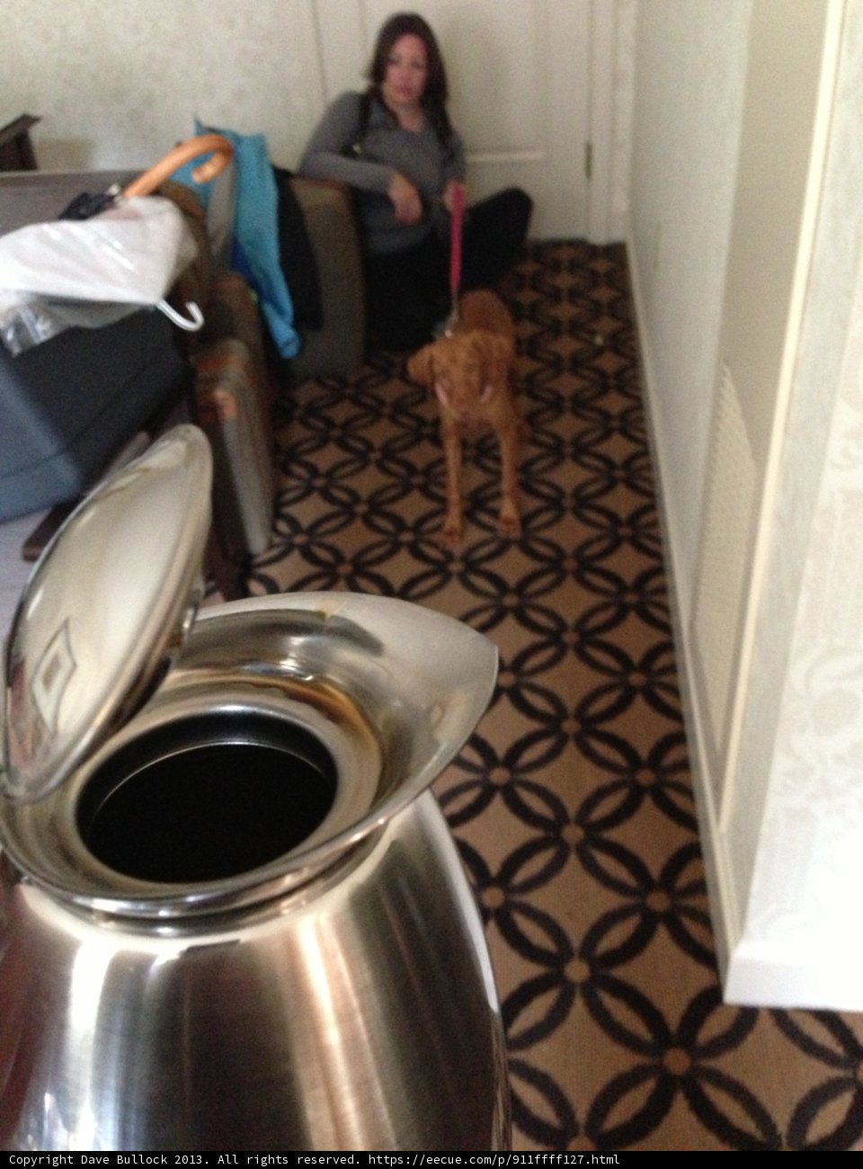 Morning Coffee with Fido