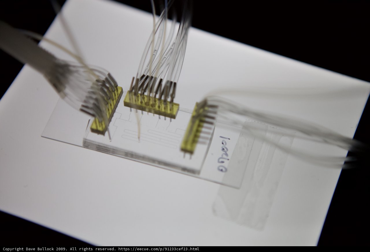 Inside the Micro Bio Chip