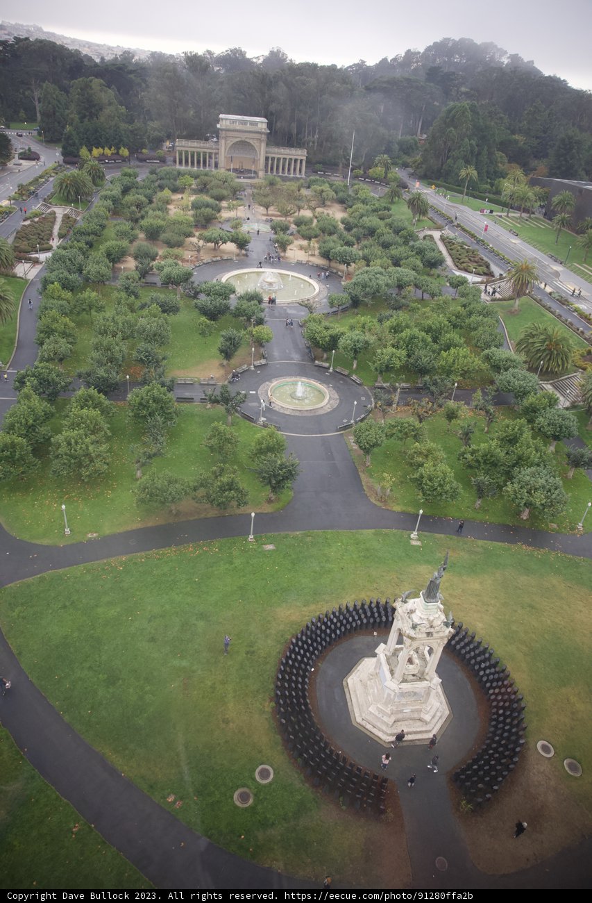 Bird's Eye View of the Urban Oasis