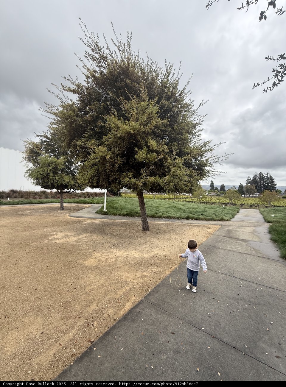 Exploring Under the Cloudy Skies