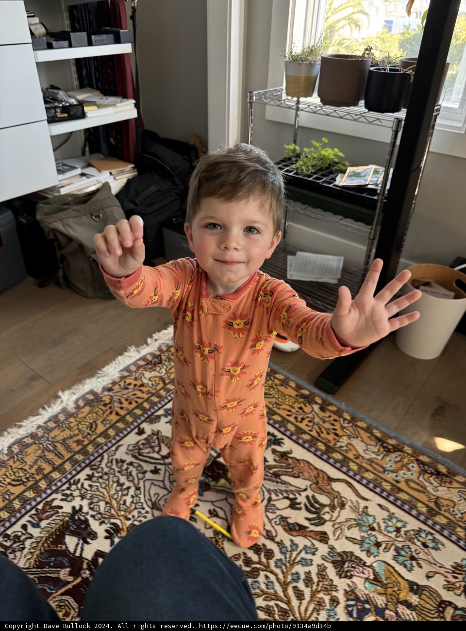 Little Explorer - Wesley in Wonderland