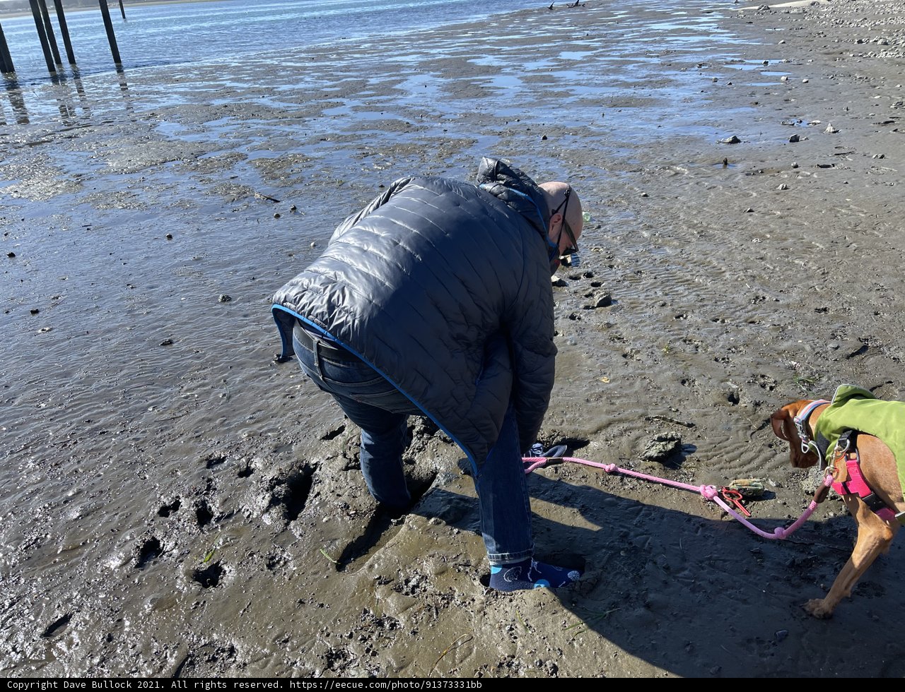 Man and Dog Enjoy a Day on the Beach