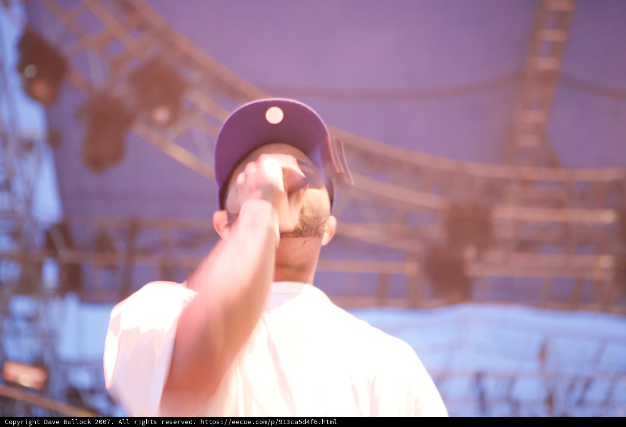 Coachella Crowd Favorite