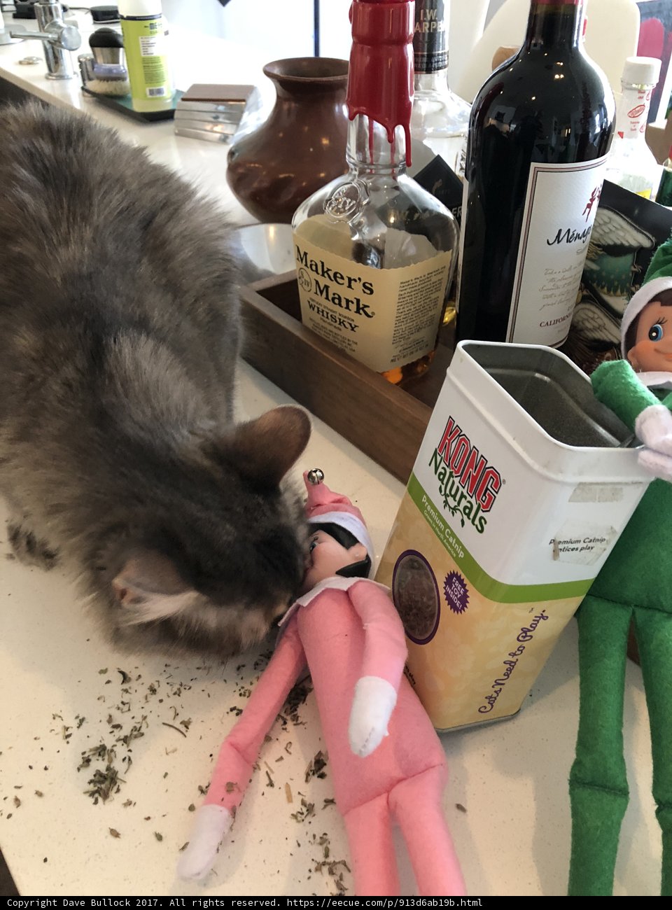 Curious Cat and the Toy Elf
