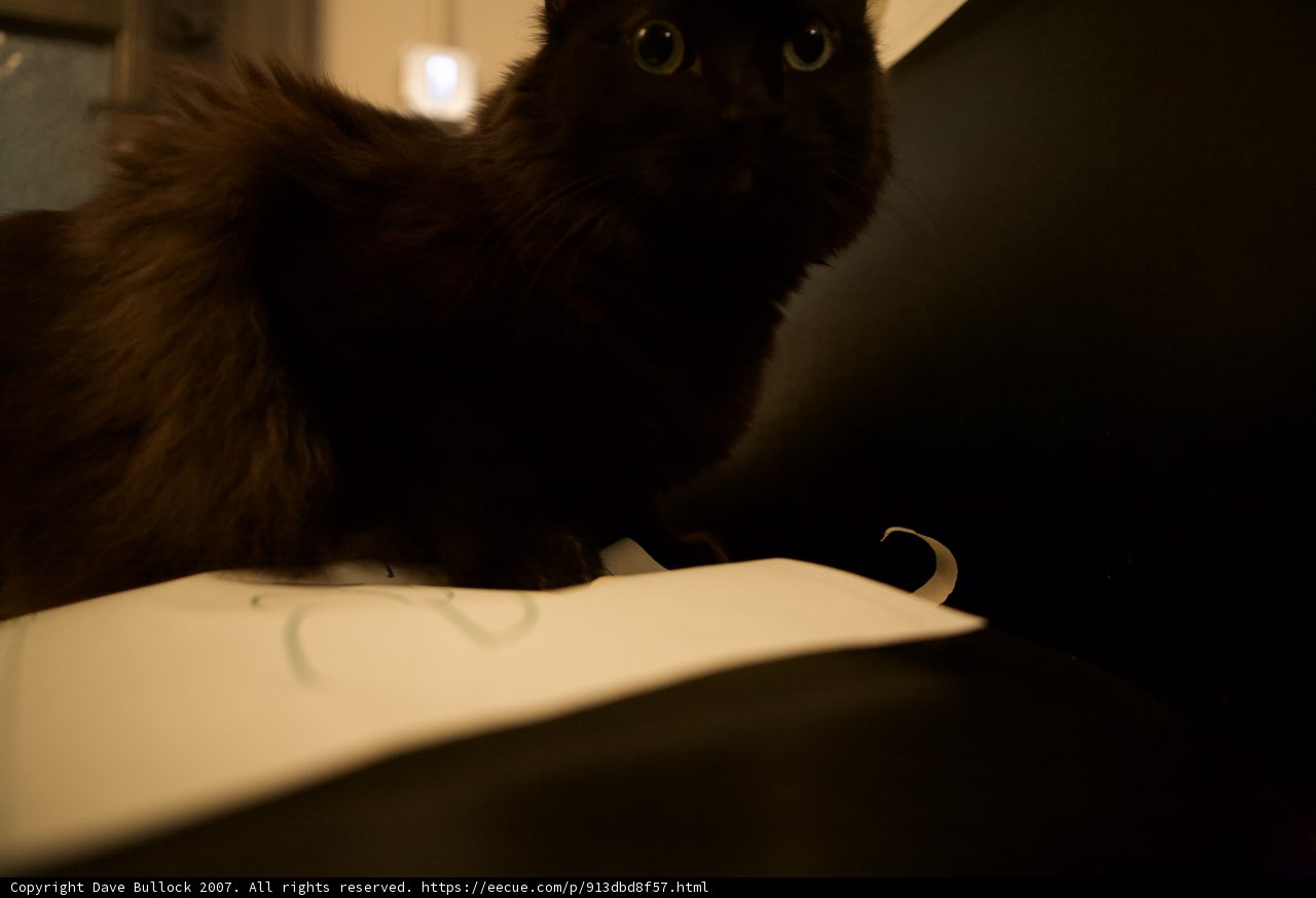 Midnight Throne