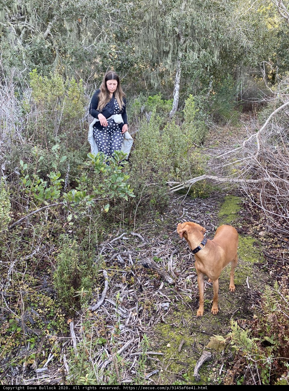 A Woman and Her Furry Companion Explore the Wilderness