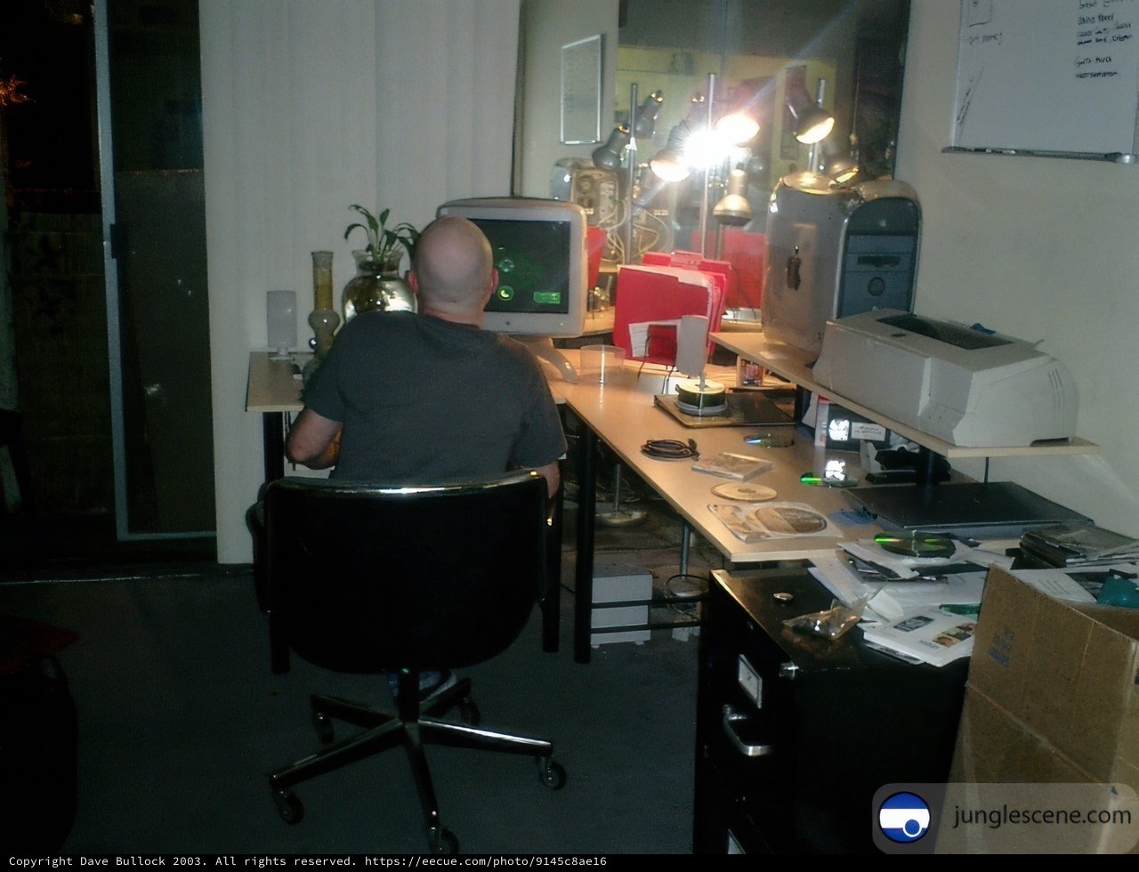 The Busy Man at His Desk