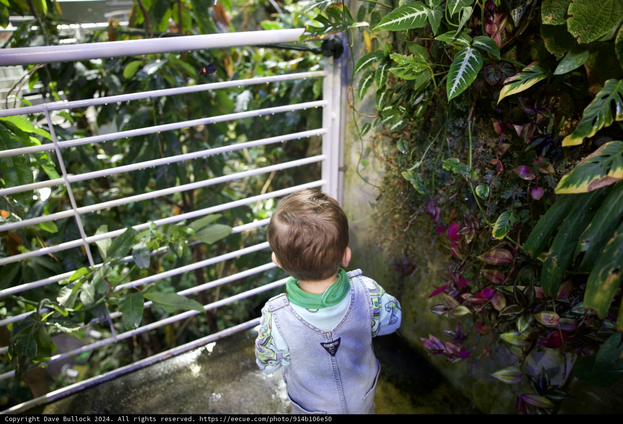 Boy Meets Botany: A Greenhouse Adventure