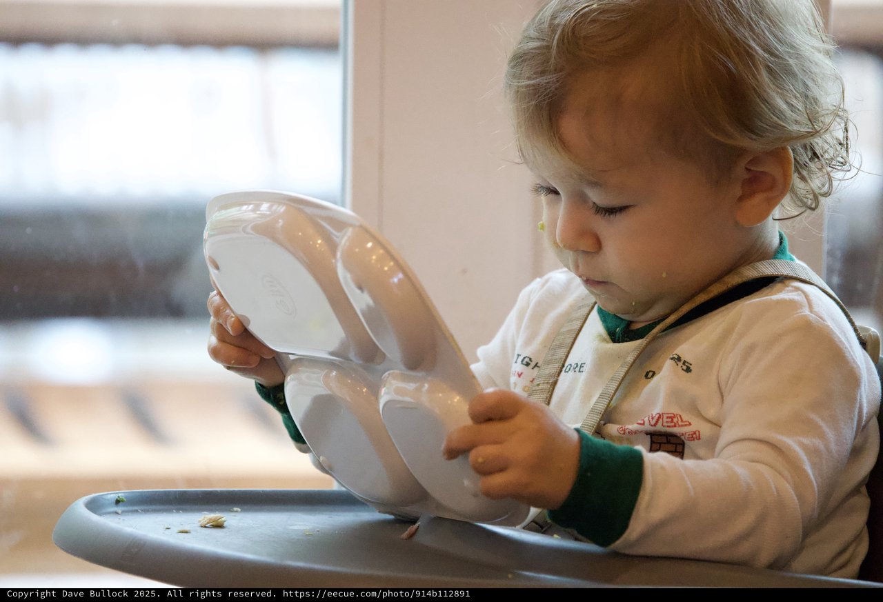 Toddler Exploring Mealtime Independence with Divided Plate