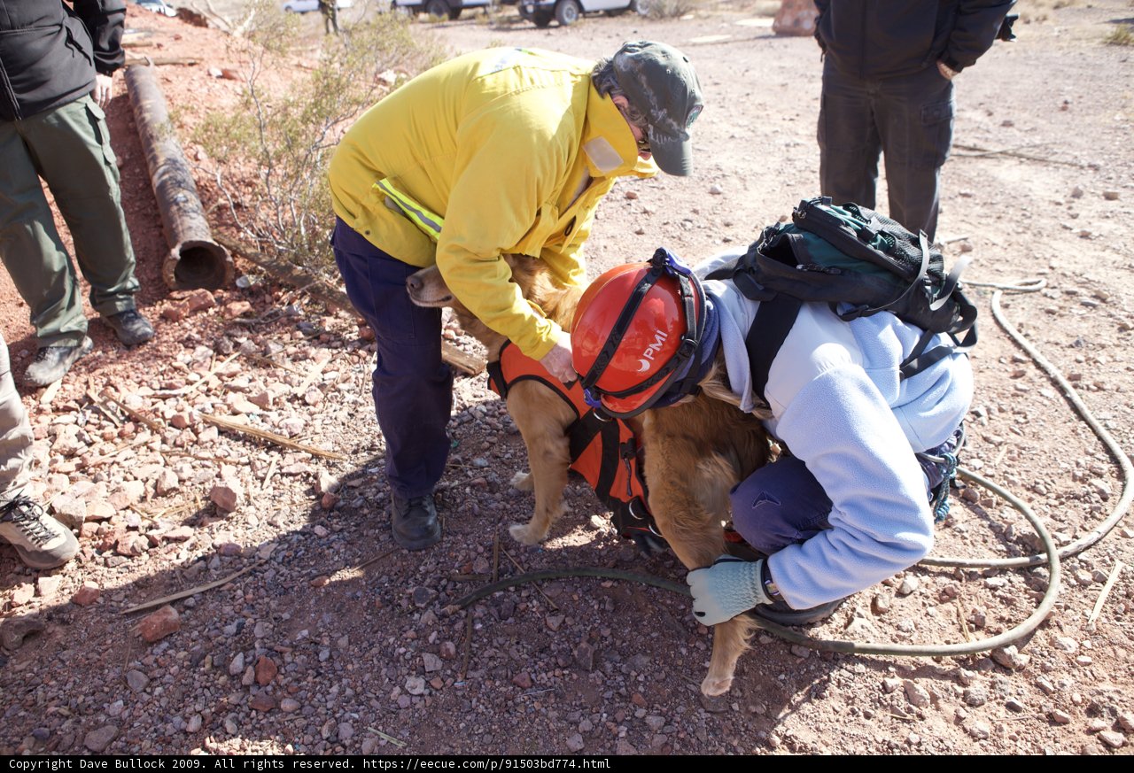 Rescue Mission: Man and Dog